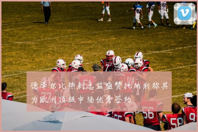 德泽尔比热刺总监盛赞托纳利称其为欧洲顶级中场优秀签约